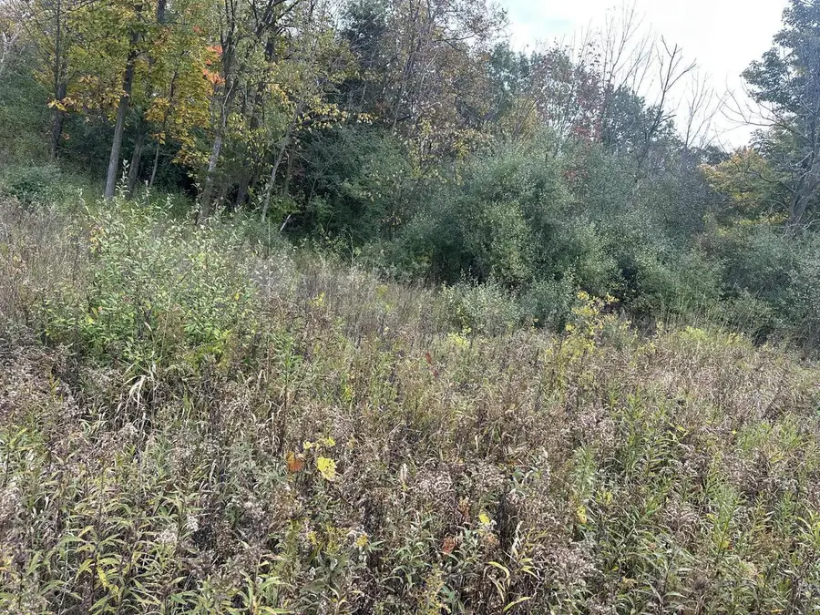 Lt2 BEAVER DAM ROAD, West Bend, WI 53090 - Image #2