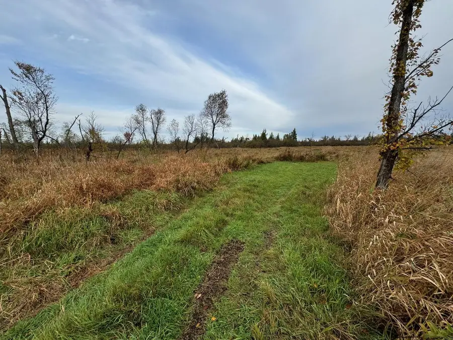 Lt1234 STATE ROAD H, Poy Sippi, WI 54967 - Image #3