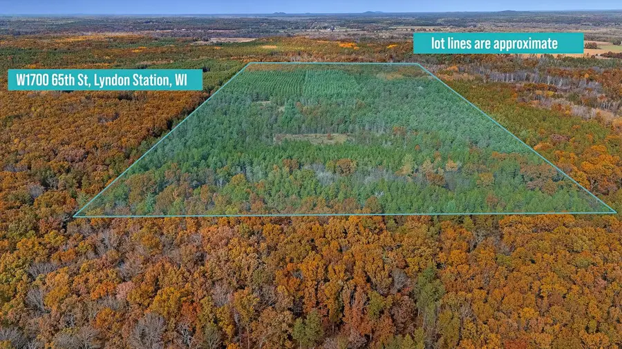 W1700 65TH STREET, Lyndon Station, WI 53944 - Image #2