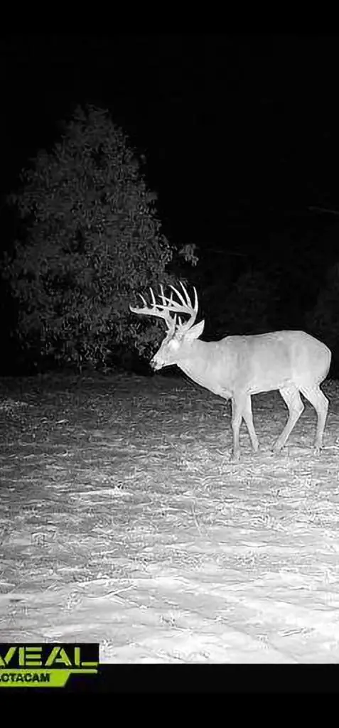 W1700 65TH STREET, Lyndon Station, WI 53944 - Image #3