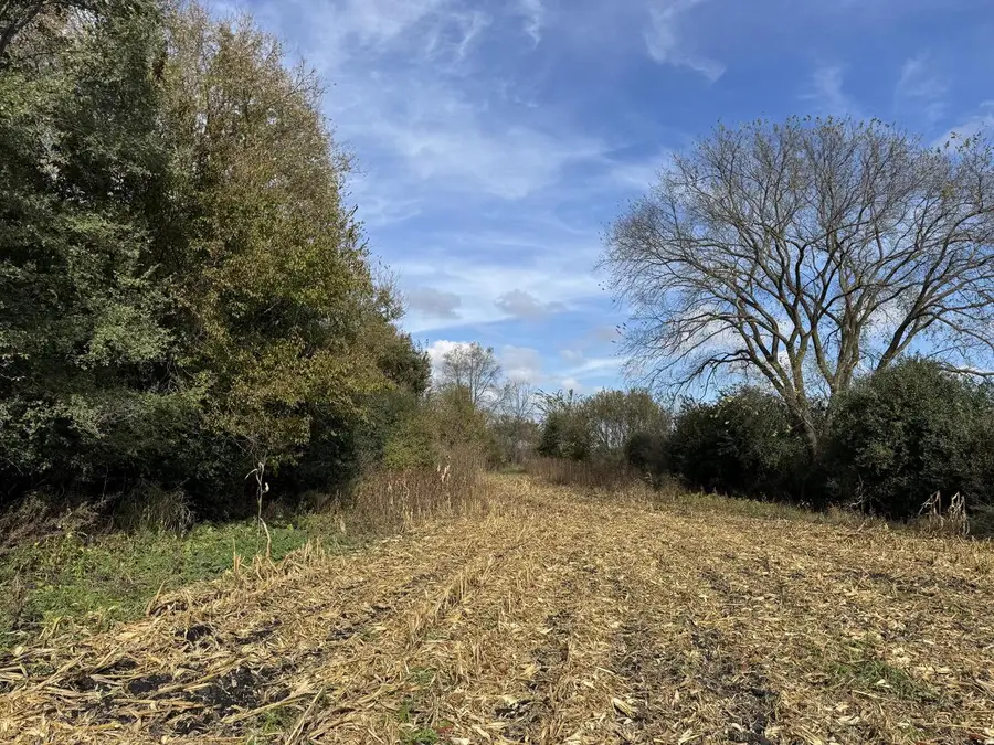 Lt9 LEO LANE, Big Bend, WI 53103 - #3