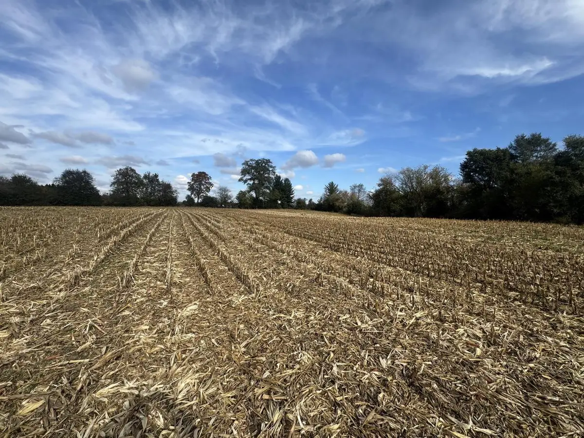 Lt10 LEO LANE, Big Bend, WI 53103 - #1