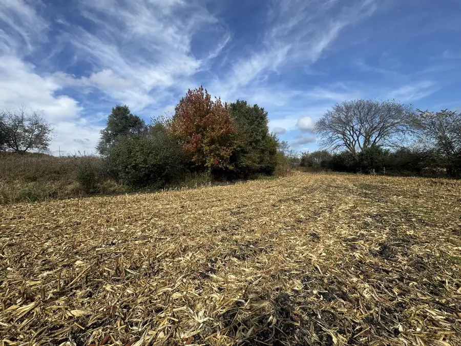 Lt10 LEO LANE, Big Bend, WI 53103 - #3