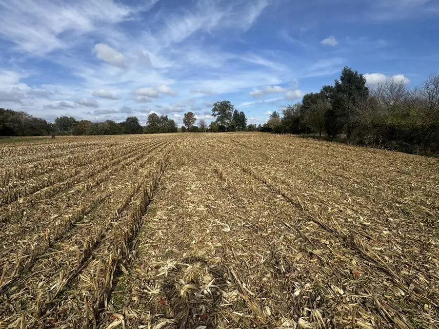 Lt11 LEO LANE, Big Bend, WI 53103 - #2