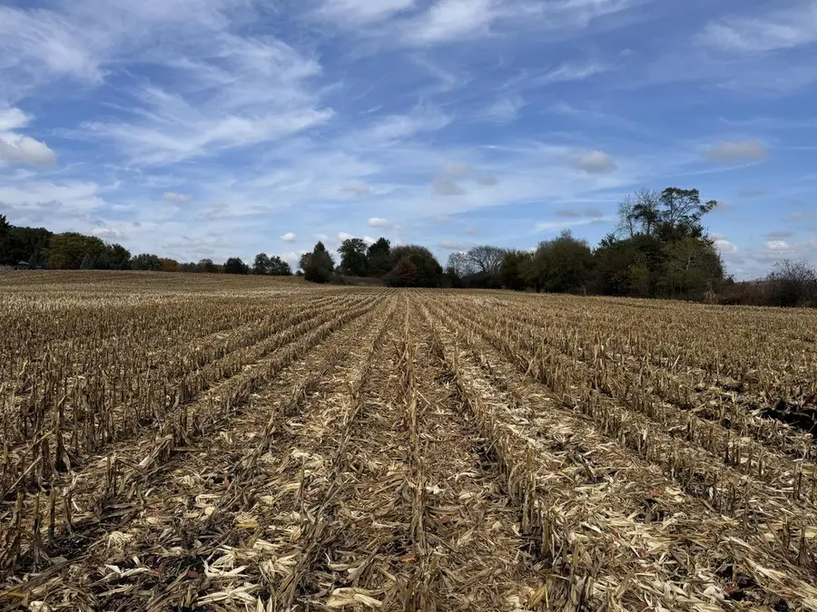 Lt15 LEO LANE, Big Bend, WI 53103 - #2