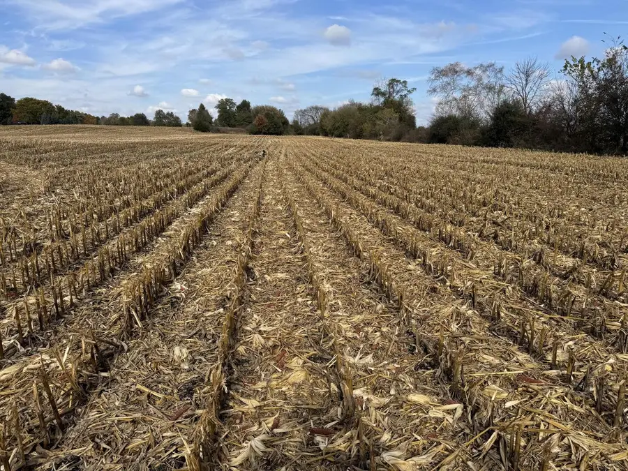 Lt16 LEO LANE, Big Bend, WI 53103 - Image #2