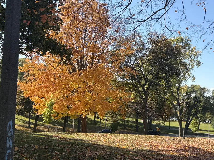 2771 S Quincy AVENUE #2773, Milwaukee, WI 53207 - Image #3