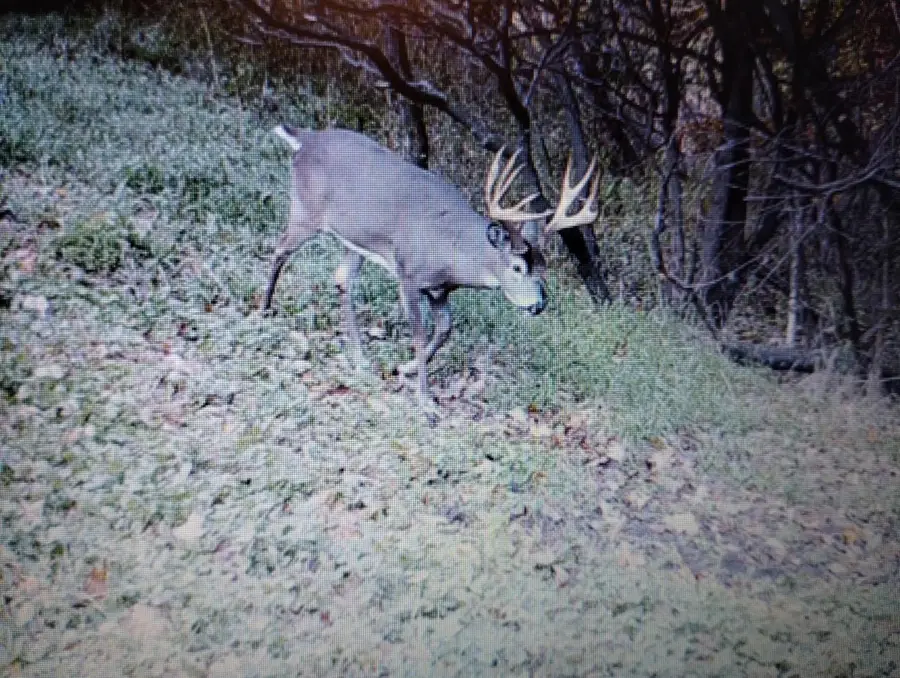 25005 NORHARDT AVENUE, Ontario, WI 54651 - Image #2