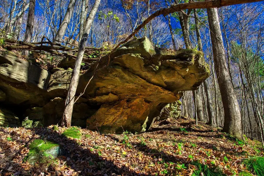 25024 Norhardt AVENUE, Ontario, WI 54651 - Image #2