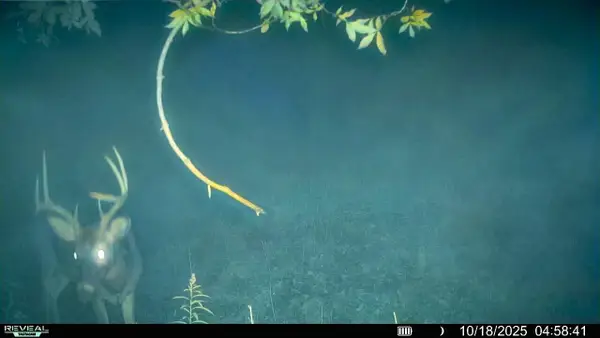 54982 SMITH ROAD, Ferryville, WI 54628