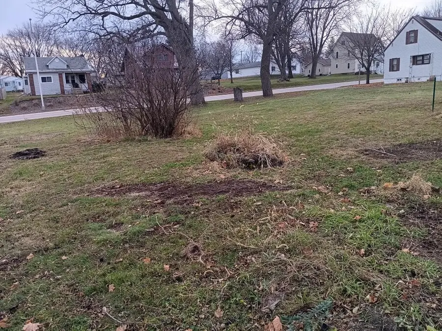 420 South STREET, Cashton, WI 54619 - Image #3