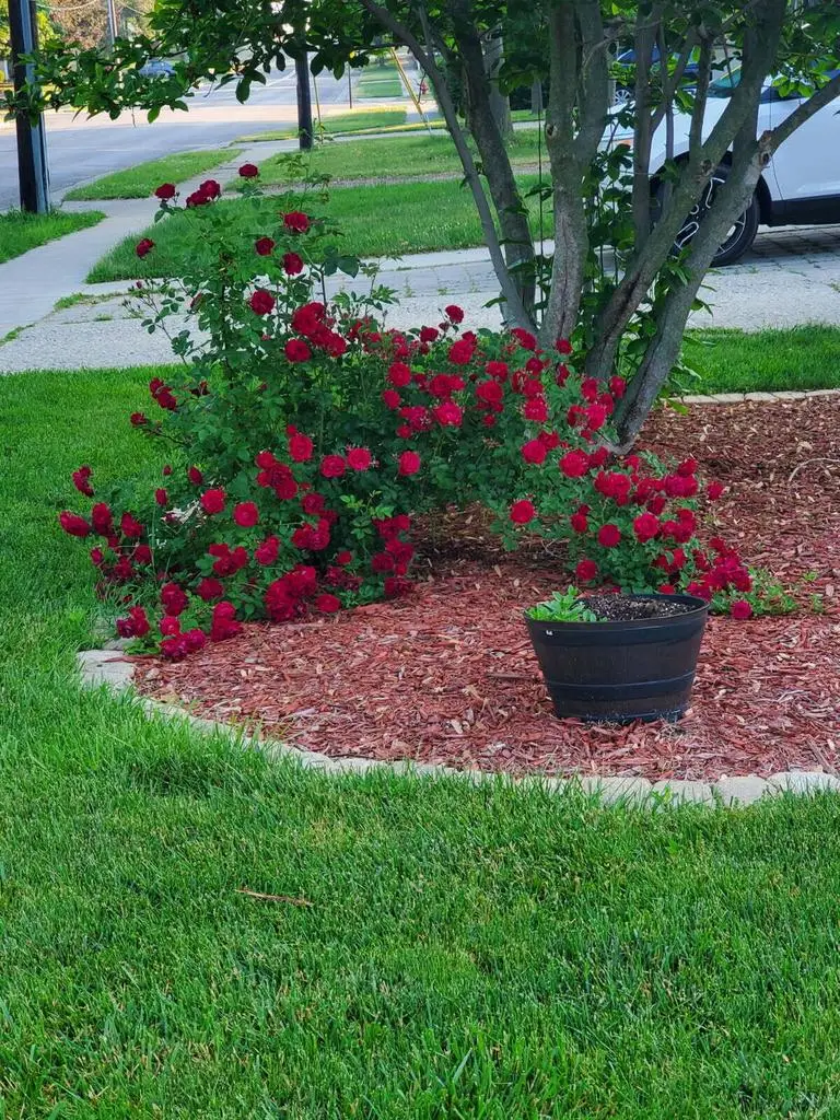 814 N Main STREET, Hartford, WI 53027 - Image #2