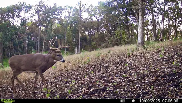 W27022 WHISTLERS PASS ROAD, Dodge, WI 54625