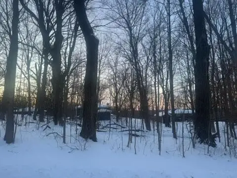 Lt 17 & 18 FOREST DRIVE, Lake Geneva, WI 53147 - Image #3