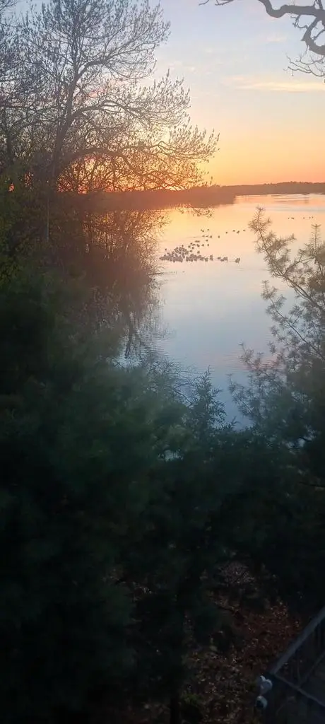 N2253 Main STREET, Weyauwega, WI 54983 - #3