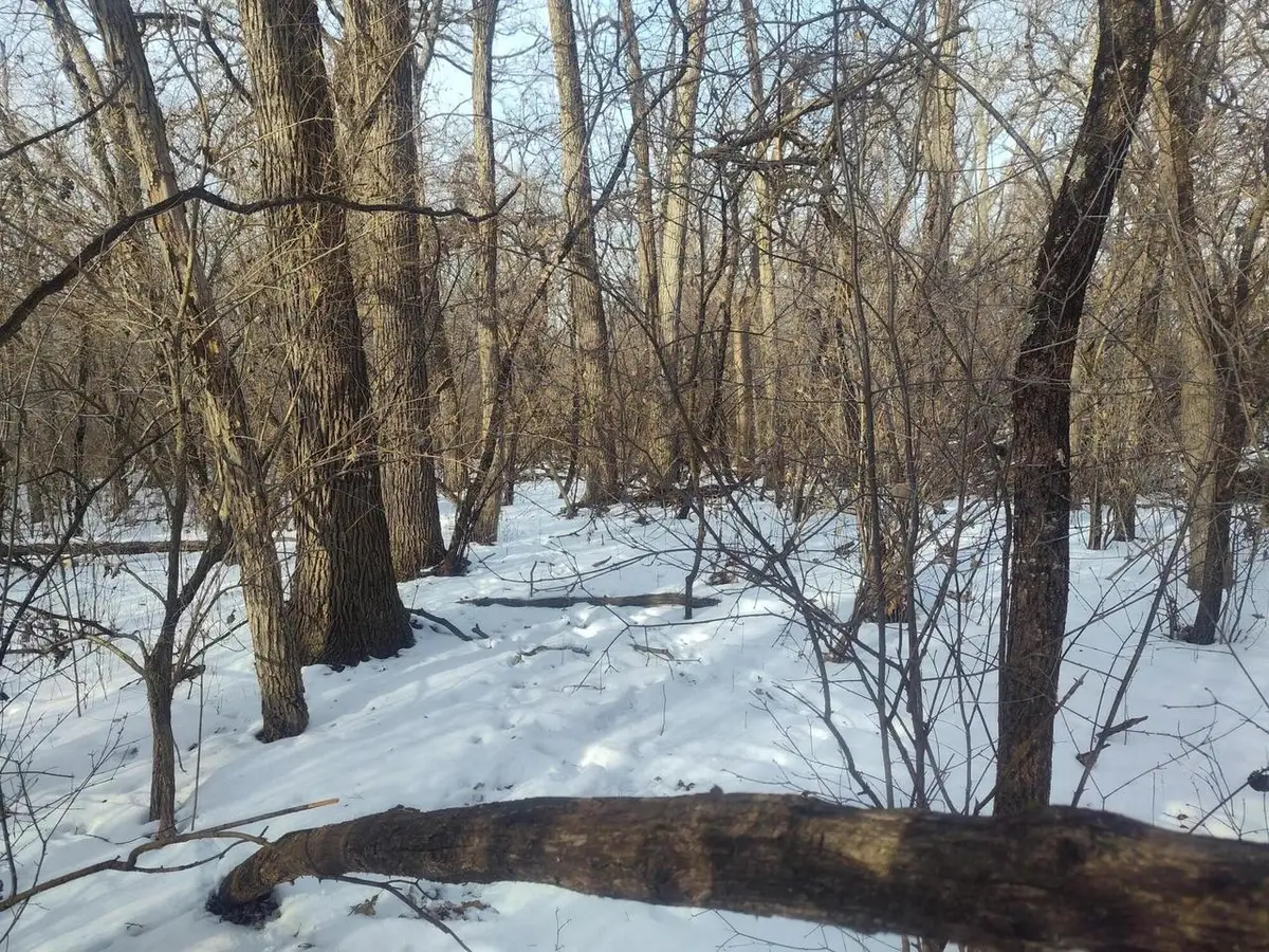 Lot11-14 109TH STREET, Trevor, WI 53179 - #1