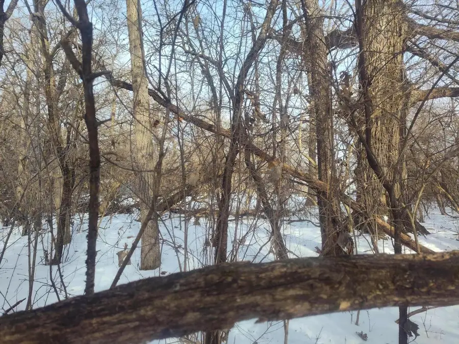 Lot11-14 109TH STREET, Trevor, WI 53179 - #3