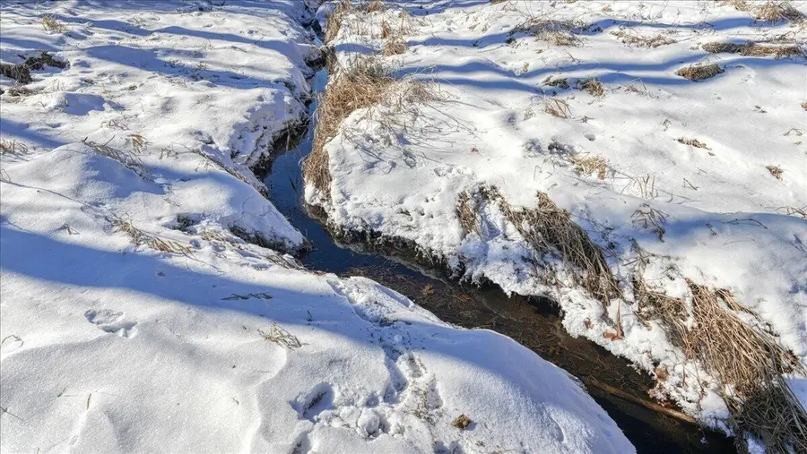 0 GRAPEVINE AVENUE, Tomah, WI 54660 - #3