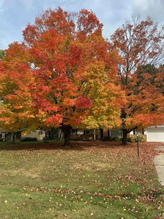 6106 S 121st STREET, Hales Corners, WI 53130 - #2