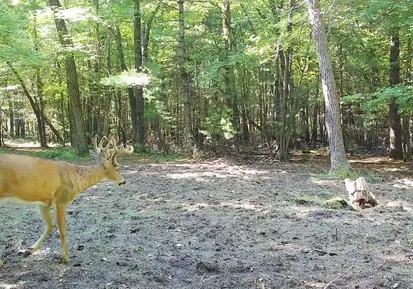 5766 CAMBRIDGE ROAD, Sparta, WI 54656 - #2