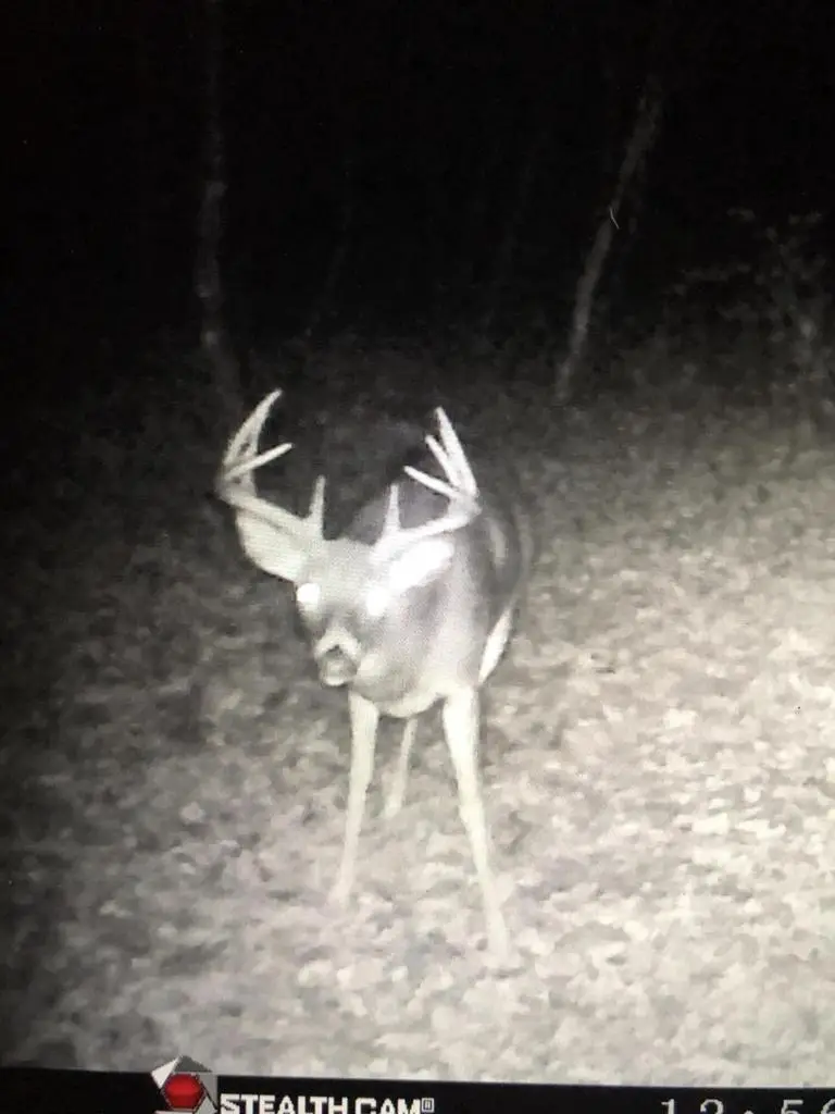 5766 CAMBRIDGE ROAD, Sparta, WI 54656 - #3