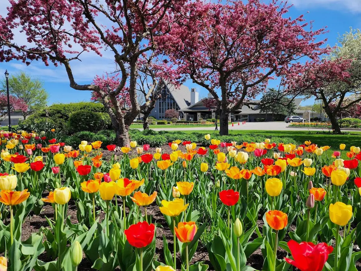 269 Fontana BOULEVARD #2555, Fontana, WI 53125 - #1