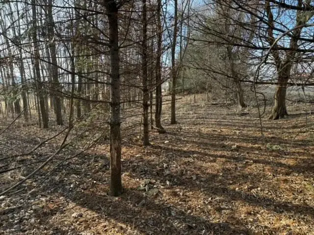 Lt0 MAIN STREET, Sullivan, WI 53178 - #3