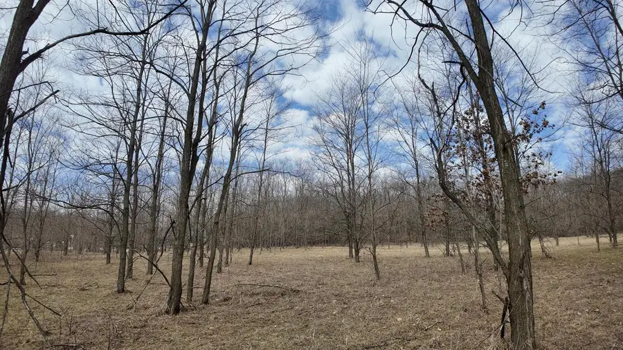 Lt1 FREEDOM ROAD, Oxford, WI 53952 - #3