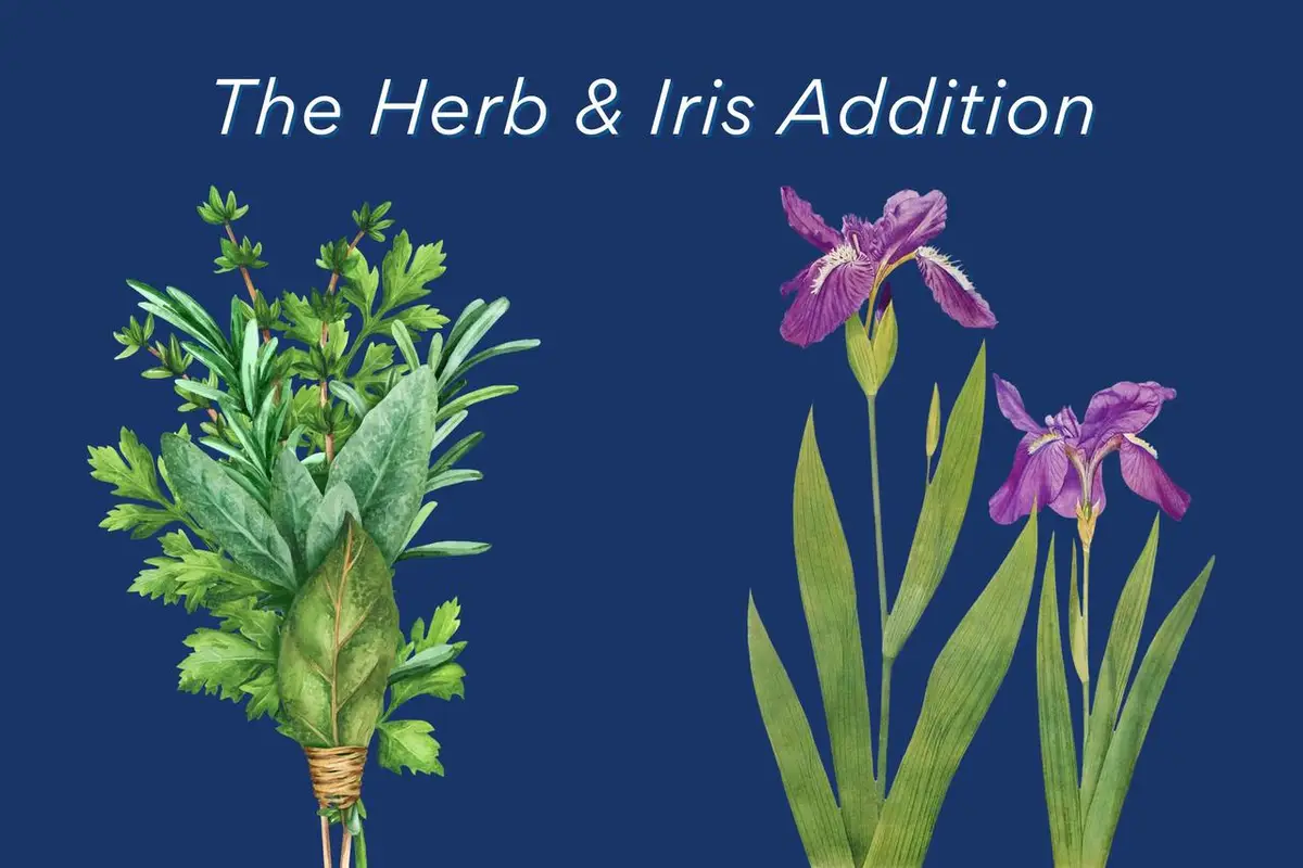 Block 5 LOT 1, Holmen, WI 54636 - #1