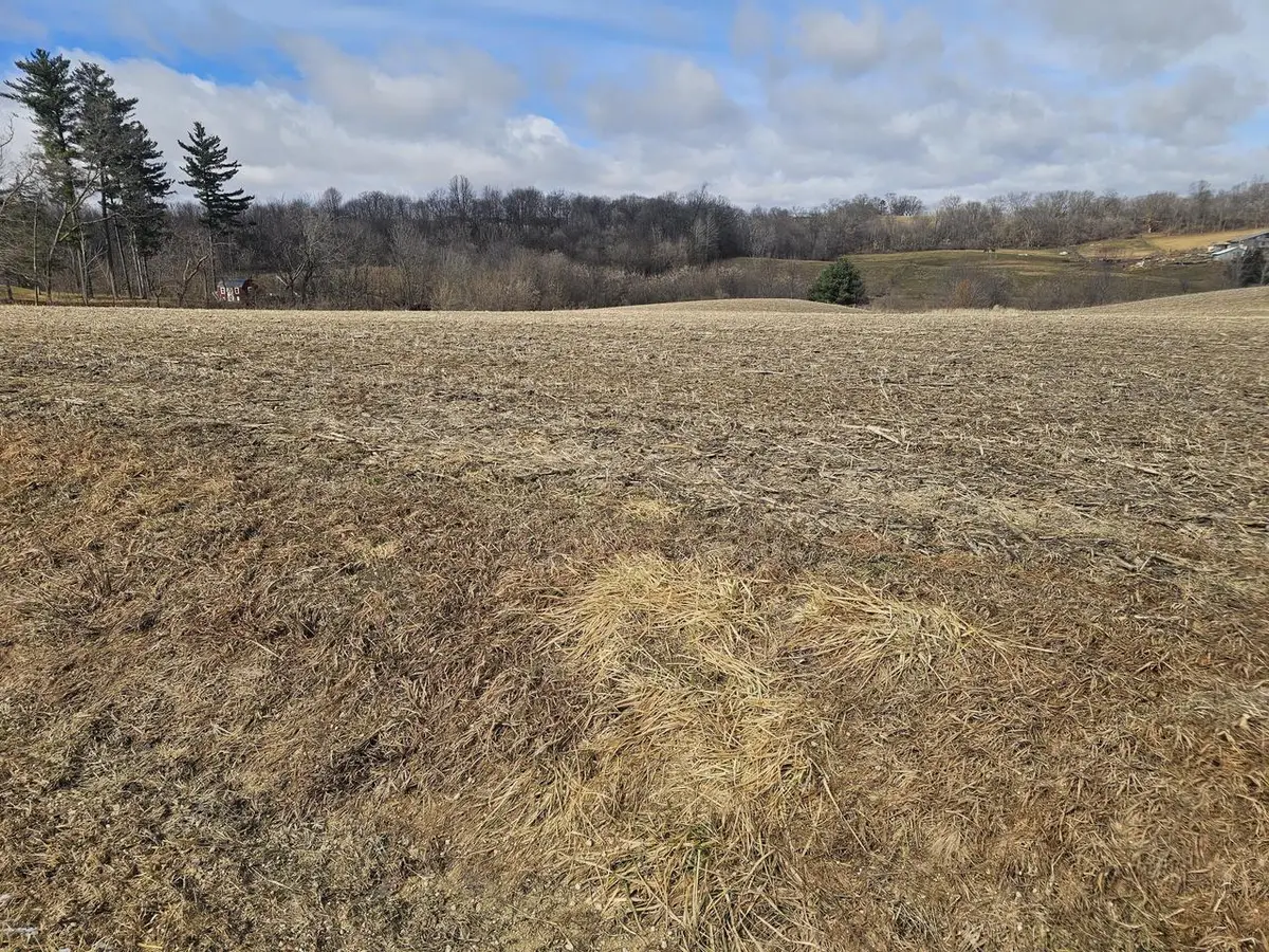 Lot 1 S BROOKVILLE ROAD, Viroqua, WI 54665 - #1