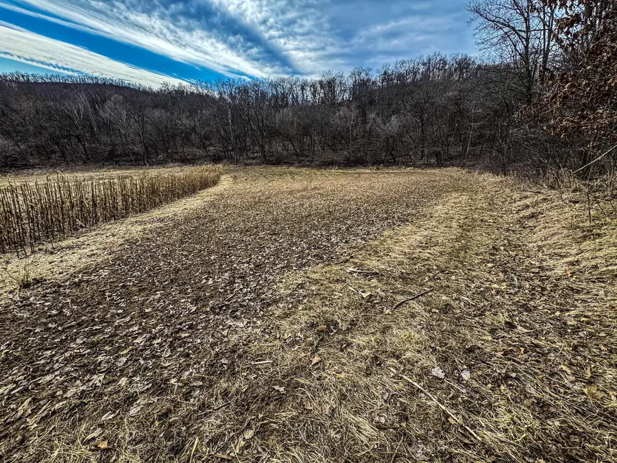 0 THEURER LANE, Arcadia, WI 54612 - #3