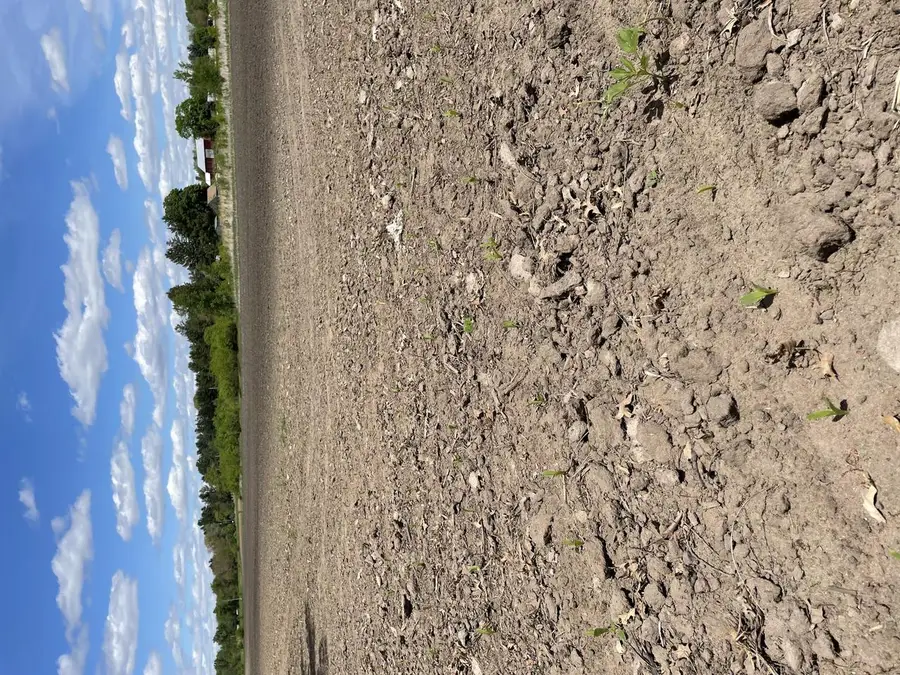 Lt3 W WENZEL ROAD, Jefferson, WI 53549 - #2