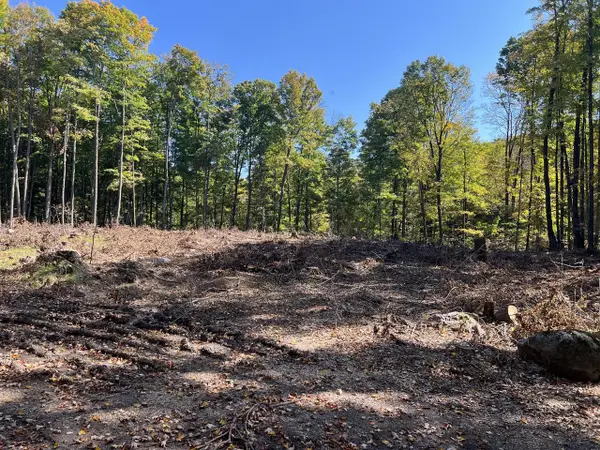 N3653 GRUDGEVILLE ROAD, White Lake, WI 54491