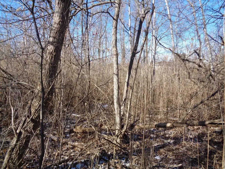 Lt249-264 HYACINTH ROAD #Lt271-286, Bloomfield, WI 53157 - #2