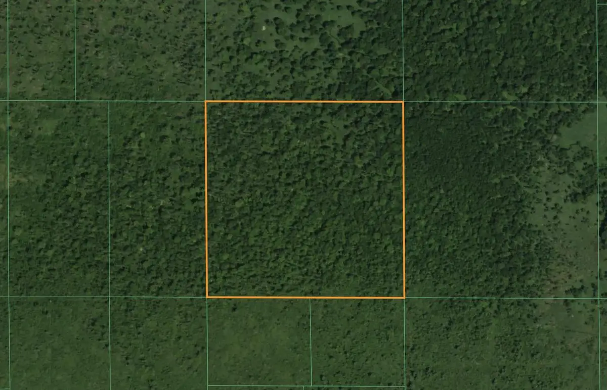 Lt1 STATE HIGHWAY 49, Pine River, WI 54965 - #1