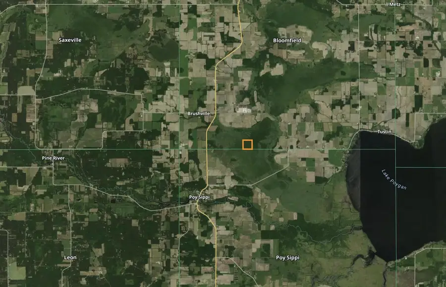 Lt1 STATE HIGHWAY 49, Pine River, WI 54965 - #2