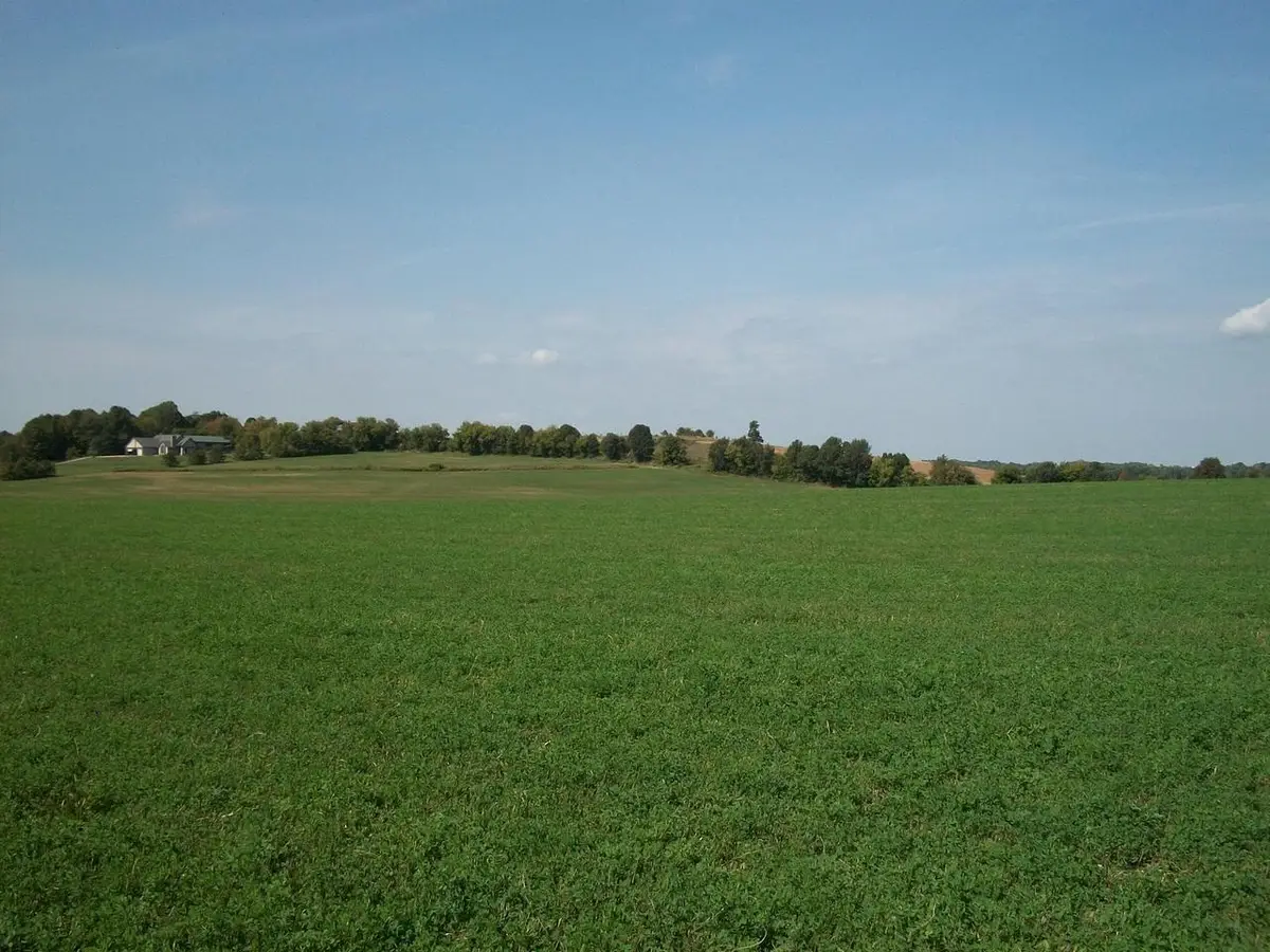 Lt1 WILSON DRIVE, Allenton, WI 53002 - #1