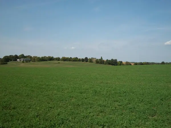 Lt1 WILSON DRIVE, Allenton, WI 53002