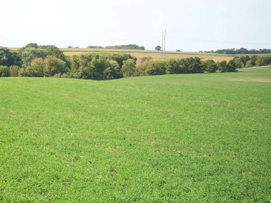 Lt1 WILSON DRIVE, Allenton, WI 53002 - #3