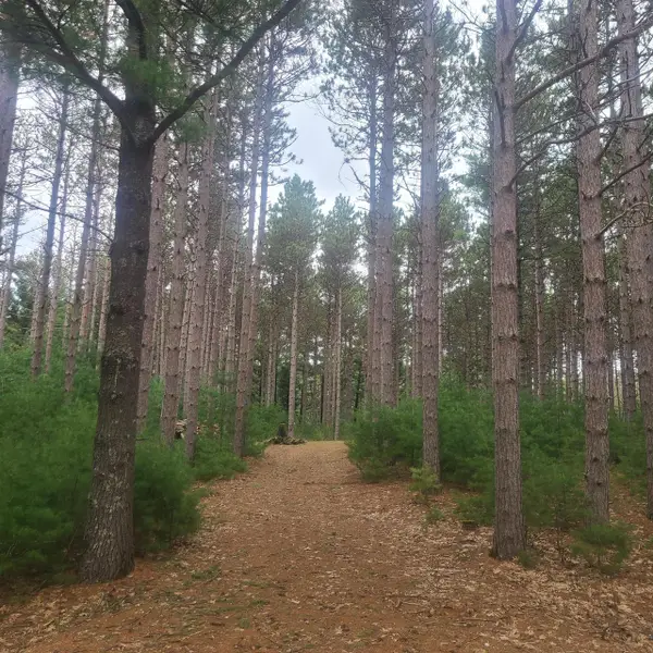 Lot 1 FAWN LANE, Hancock, WI 54943