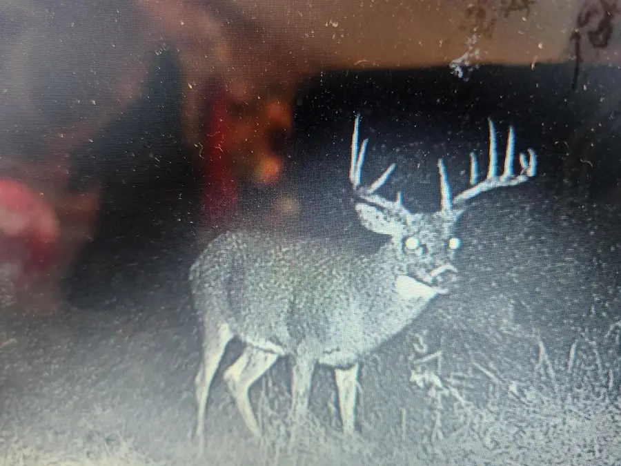 0 STATE HWY 71, Sparta, WI 54656 - #3