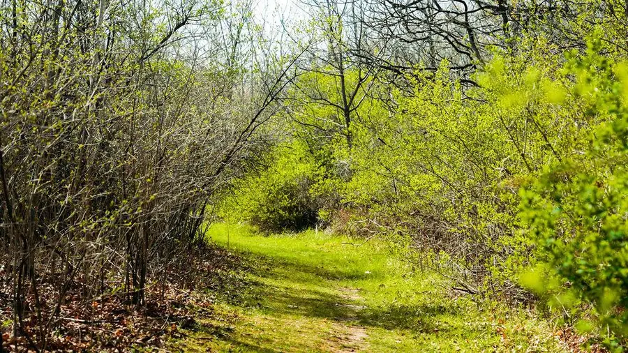 0 STATE HWY 56, Viroqua, WI 54665 - #2