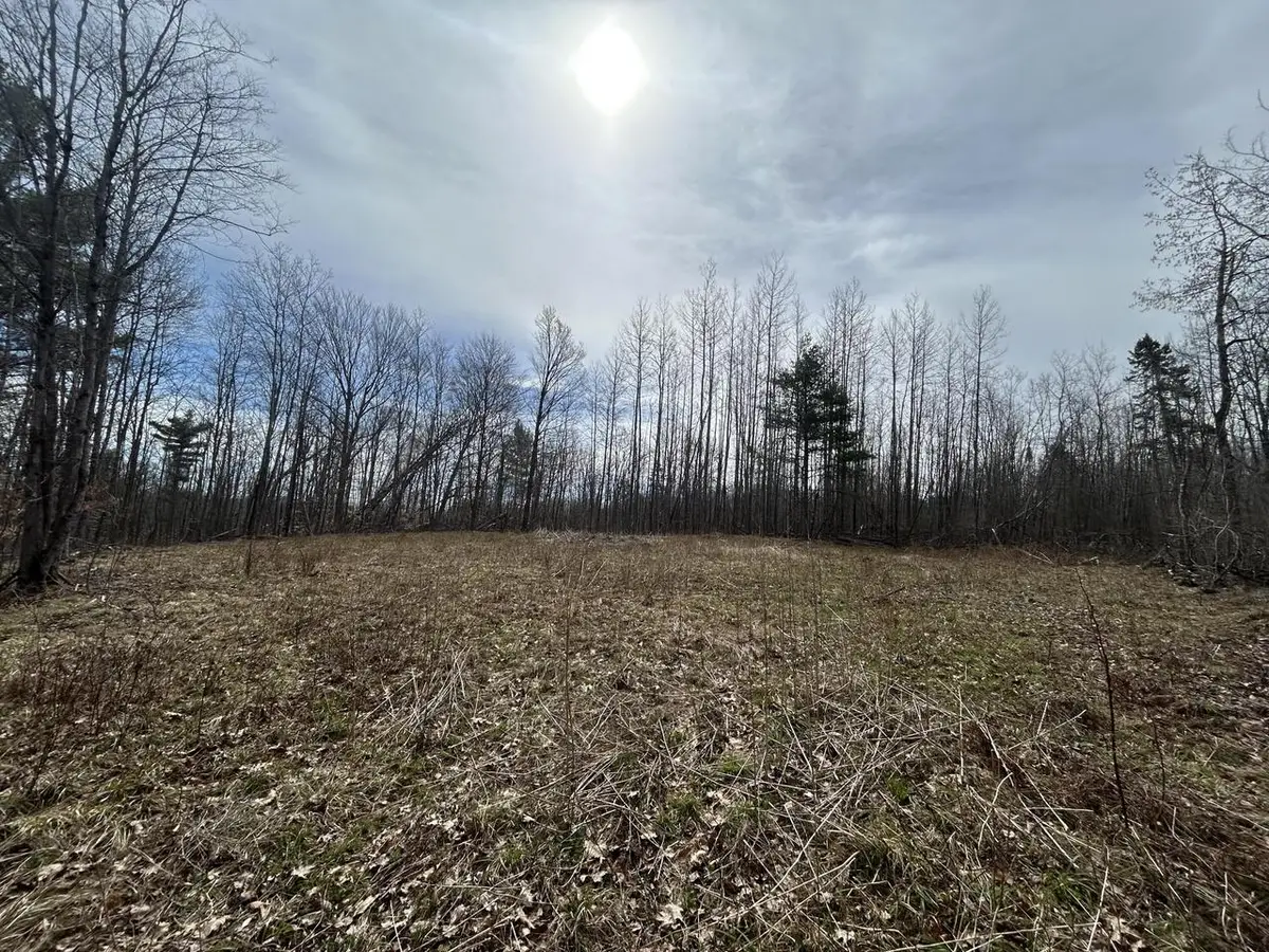 16003 CEDAR LAKE LANE, Mountain, WI 54149 - #1