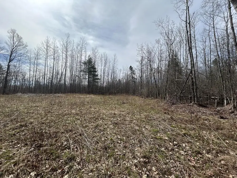 16003 CEDAR LAKE LANE, Mountain, WI 54149 - #3