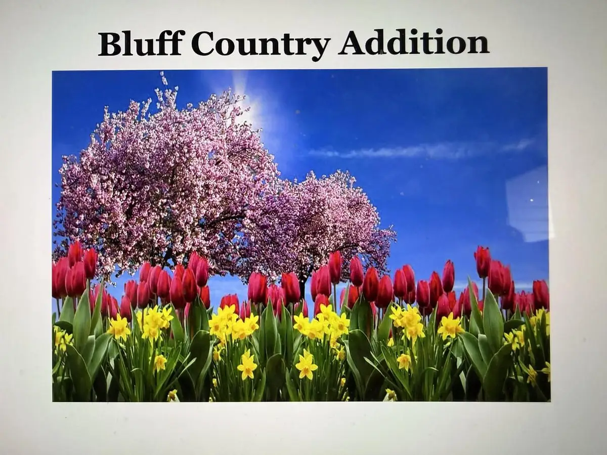 BL2 Lot 6 TULIP STREET, Bangor, WI 54614 - #1