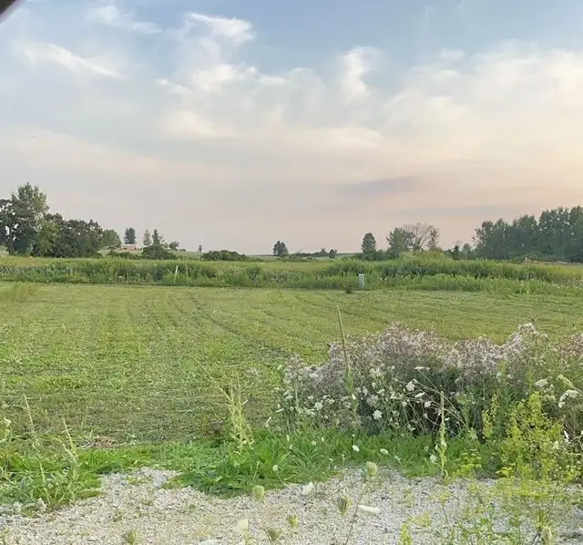 W2525 WOODLAND ROAD, Iron Ridge, WI 53035 - #2
