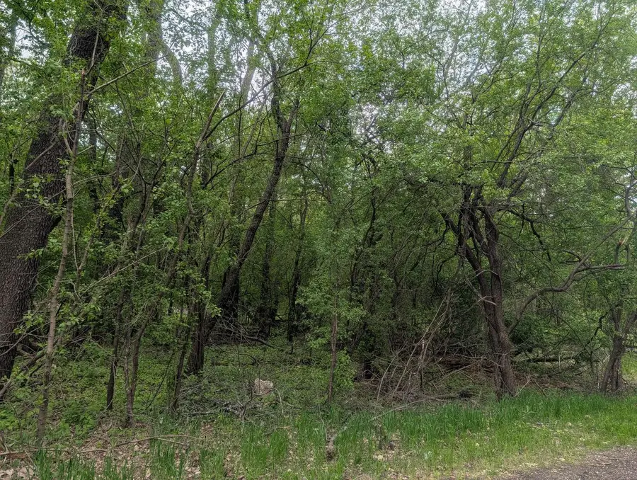 Lot 1 HWY 11, Darien, WI 53114 - #3