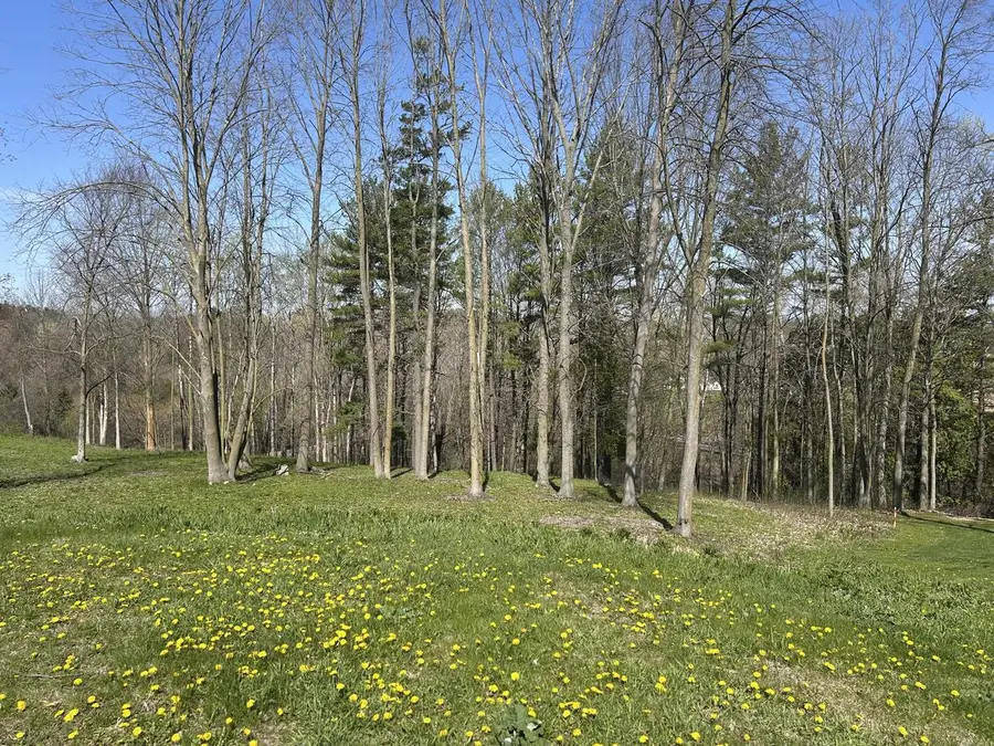Lt29 VERANDA COURT, Manitowoc, WI 54220 - #3