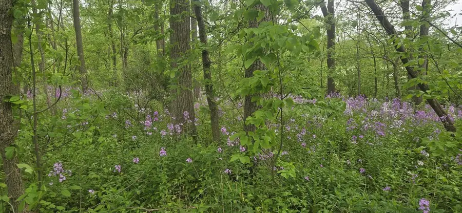 Lt7 SHORE LANE, Elkhorn, WI 53121 - #3