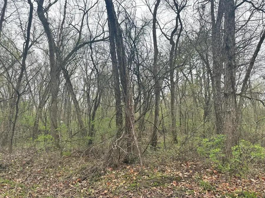 Lot 0 CATFISH DRIVE, Trempealeau, WI 54661 - #3